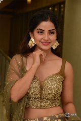 Kashmira at Nartanasala Pre Release Event